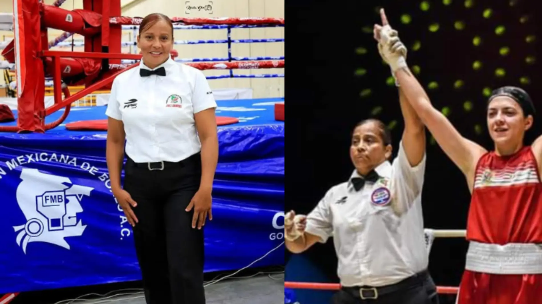 Yolanda Segura Jueza box